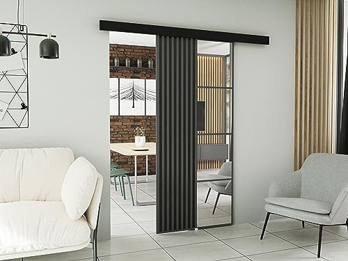 KIER FURNITURE Wandschiebetüren mit Spiegeln MOLI 70 – Schiebetür Komplettset Schiene Komplettset Mit Tür – Zimmertüren Mit Zarge Komplett - B76xH205xT1,6 cm - Graphit