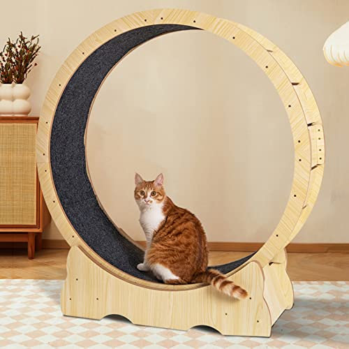 Katzenlaufrad Hölzernes Katzenlaufband, Durchmesser 27,6/31,5/35,4/39,4 Zoll, Übungsrad mit Teppichboden, Fitness, niedliche Katzenmöbel, Haustierspielzeug (Größe: 113 x 36 x 120 cm)