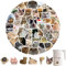 50 Stück Katzen Sticker, Meme Cat Stickers, Lustige Wasserfeste Vinyl Aufkleber Set für Laptop, Telefon, Notebook, Skateboard, Fahrrad