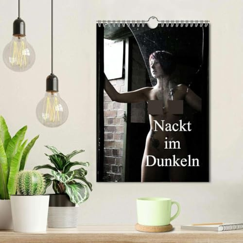 Nackt im Dunkeln / 2026 (Wandkalender 2026 DIN A4 hoch), CALVENDO Monatskalender: Aktaufnahmen im Gegenlicht und in dunklen Räumen (CALVENDO Erotik)