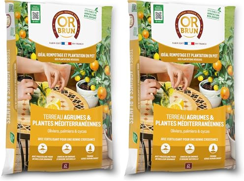 Or Brun Terreau Agrumes & Plantes Méditerranéennes - Oliviers Palmiers & Cycas - Utilisable en Agriculture Biologique OBRTAGR6U (Lot de 2)