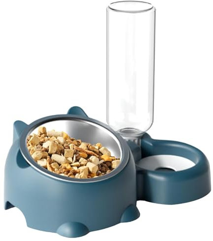 Ensemble 2 en 1 de Gamelles pour Chat et Chien avec Support à 16 Degrés pour Nourriture et Eau