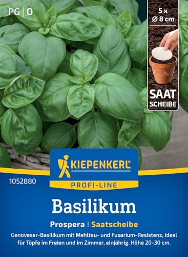 Kiepenkerl Basilikumsamen Prospera 1052880, Kräutersaat | Robuste Basilikumpflanze für Frische & Geschmack, resistent gegen Mehltau, Basilikumsamen für 5 Pflanzen