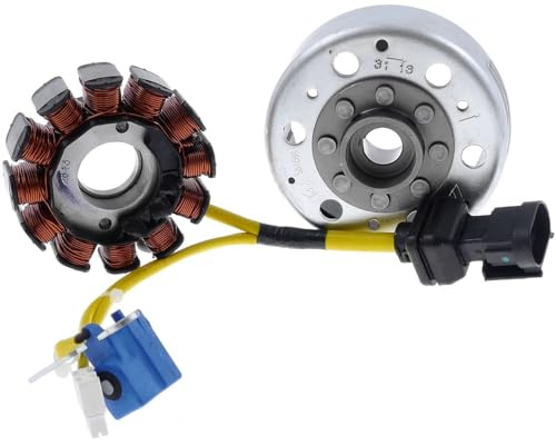 PIAGGIO Original Lichtmaschine/Zündung 12 Spulen kompatibel mit Vespa LXV 150ie, Piaggio X8 125, Aprilia Habana 125, Beverly 125, Gilera DNA 125