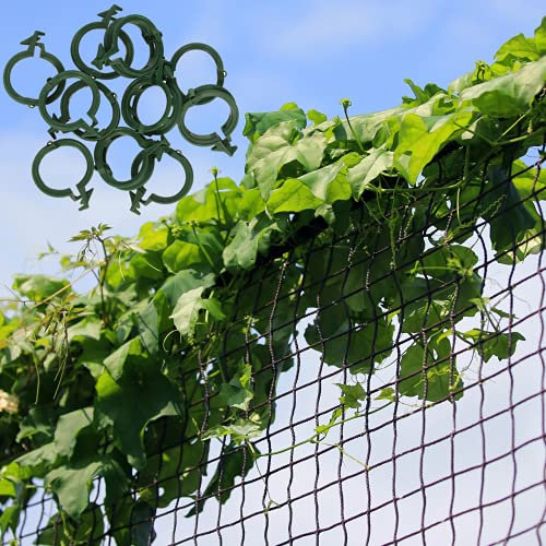 GARDENIX® 2m x 10 m Treillis pour tomates, concombres et Plantes grimpantes et 100 Clips (2 x 10 m, Noir)
