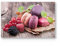 DEQORI Schneidebrett aus Glas | groß 30x20 cm | Motiv Macarons und Beeren | Design Schneideplatte für Küche | Frühstücksbrett antibakteriell & rutschfest | Glasplatte & Servierplatte
