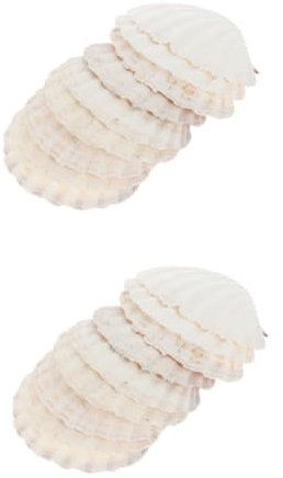 BESPORTBLE 20 Pièces Coquille Naturelle Assiette apéritive Assiette de pétoncles Plateau de Nourriture décor Coquillages grillés Plaque de Coquillage Naturel Aquarium Coquille d'huître Hawaii