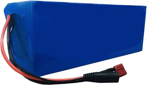Batería De Litio para Bicicleta Eléctrica 24V25.2V 29.4V 36V 48V Paquete De Batería 8AH 10AH 12AH 15AH 18AH 20AH 25AH para Motor 200W-800W para Triciclos Moto con Cargador 48V25AH,T