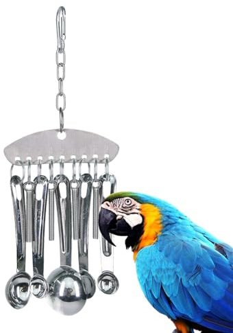 Jouet interactif pour perroquet – Ensemble de cloches et d'anneaux en acier inoxydable pour le conditionnement du bec, cuillères à ronger, jouets pour oiseaux, pinsons, cacatoès, perruches | Jouet à m