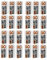 Redberry Lot de 24 Rouleaux de 90 Feuilles pour Rouleau Anti-Peluches – 324 m/2160 Feuilles au Total – Élimine Les Peluches, Les Poils d'animaux et la poussière, Blanc