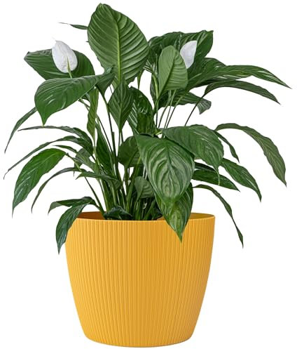 KONZEPT Vaso da fiori grande, giallo, struttura scanalata, 30 cm, per piante da interno, in plastica, ideale per soggiorno, cucina e balcone