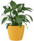 KONZEPT Blumentopf groß, gelb, gerillte Struktur 30cm, Übertöpfe für Zimmerpflanzen aus Kunststoff ideal für Wohnzimmer, Küche und Balkon
