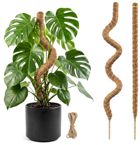 2 Stück 160CM Moosstab Monstera, Garden Sage Biegsame Monstera Rankhilfe für Pflanzen, Kokos Pflanzenstab Monstera Moss Pole für Garten Kletterpflanzen Zimmerpflanzen