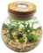 OMEM LED Aquarium Set Moss Ball, Seaweed, Gravel, Tortoise, Boat Micro Landscape Ecological Bottle Glass Wishing Bottle Table Decoration Unique Birthday Gift