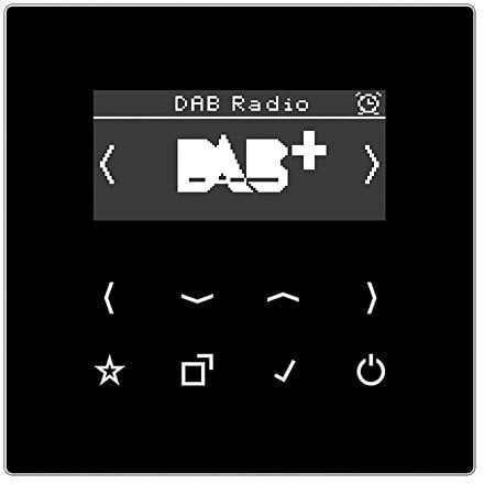 JUNG DABLSSW Smart Radio DAB+ Schwarz Serie LS