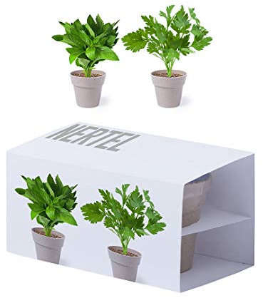 Lote de 20 macetas nertel. Set de 2 macetas con semillas de menta y perejil en macetero de línea nature. Regalos Bodas Cumpleaños Ecológicos Sostenibles