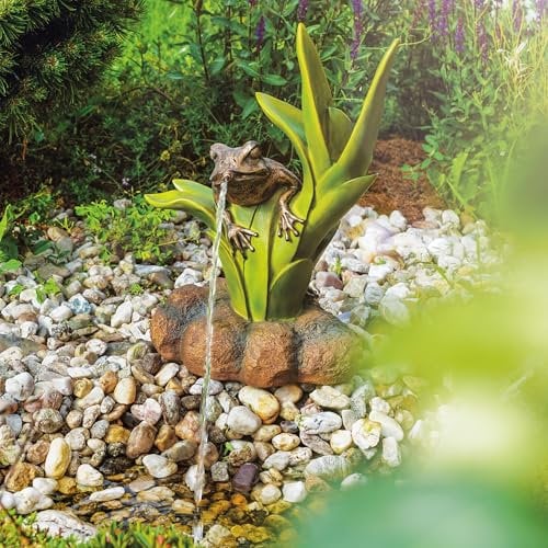 Esotec Solar Wasserspeier Set Frosch sitzend, Höhe=46cm, Solarpumpe, Teichfigur Gartenfigur Gartenstatue, Tauchpumpe, Wasserspiel, Gartenbrunnen, Springbrunnen, außen Outdoor Vogeltränke 101661