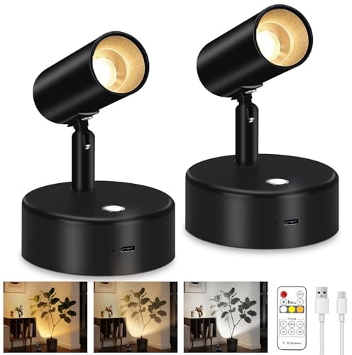 Lightess Spot Lights Indoor 6000mAh Wireless Uplights Indoor Plant Rechargeable Lights with Remote and 3 Color Temperature, Magnetic Spotlights for Painting, Accent Lighting, 2 Pack Black