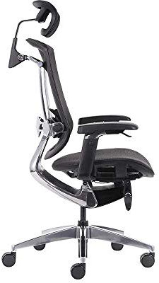 REKT RGo Max Business chaise de bureau ergonomique haute qualité Confort - Accoudoirs 4D, appuie tête, réglage Cervical, lombaire, profondeur d'assise, Supporte jusqu'à 150 kg
