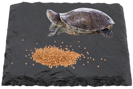 Kasoud Tortoise Slate Plate, Basking Platform for Steaks, Pastry Display, Aquarium Slate Mat, Reptile Habitat Platform and Feeding Tray (Black) (Black, Quadrate)