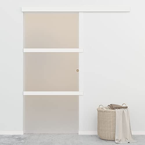 Rail de porte coulissante avec stoppeurs souples en verre ESG et aluminium 90 x 205 cm