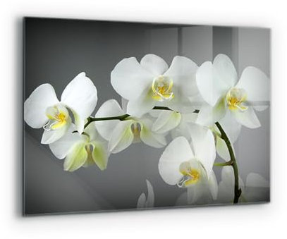 Wallfluent 80x60cm Glasrückwand für die Küche Wandanbringung Küchenrückwand Mit Motiv Spritzschutz Fliesenschutz Gehärtetes Glas - Weiße Orchidee auf schwarzem Hintergrund