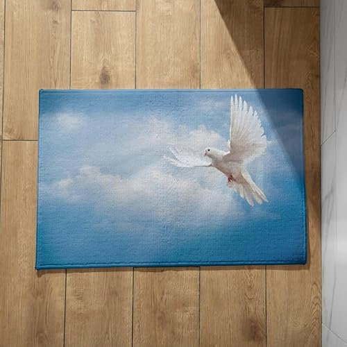 EHOMERY Alfombra Antideslizante Plato Ducha Felpudo Entrada Casa One Piece Paloma Alfombra Cocina Lavable Pequeña Felpudo Welcome Home 45x75cm,