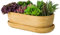 Keramik Blumentopf Blumenschale Kakteenschale Untersetzer Wasserloch Kakteen Bonsai Sukkulenten (oval, hell braun)