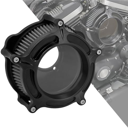 HDBUBALUS Filtro dell'aria CNC per moto, sistema di aspirazione dell'aria adatto per Harley Sportster 883 1200 48 72 Roadster 2004-2019