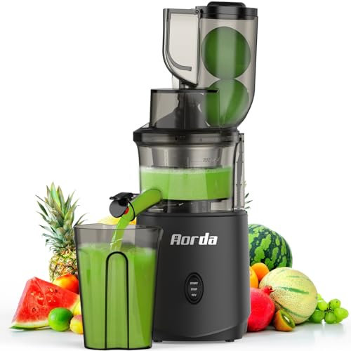 Exprimidor de prensa fría de masticaje lento: máquinas exprimidor prensado en frío para verduras y frutas de 200 W, gris mate