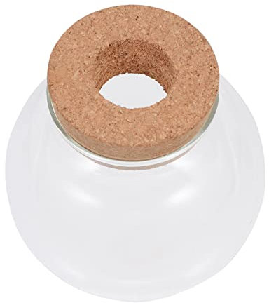 ifundom Transparentes Terrarium DIY Flasche Für Sukkulenten Moospflanzen Ökologisches Gartendesign Für Zuhause Büro