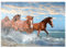 MyPuzzle Schöne Pferde Laufen am Strand durch das Meer - Premium 100 Teile Puzzle - MyPuzzle Sonderkollektion von Puzzle Galaxy