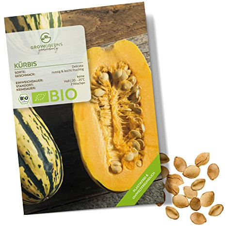 BIO Kürbis Samen (Delicata, 6 Korn) - Kürbis Saatgut aus biologischem Anbau ideal für die Anzucht im Garten, Balkon oder Terrasse