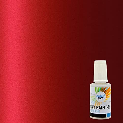 CARSKY Stylo retouche peinture carrosserie compatible avec Dacia Rouge Fusion NPI (flacon pinceau 20ml) + vernis brillant (flacon pinceau 20ml)