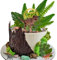 Camptrip Dino Tortendeko, 20 Stück Dschungel Cake Topper Geburtstag, Dinosaurier Kuchen Deko Dinosaurier Deko Torte für Kinder Junge Geburtstag Party