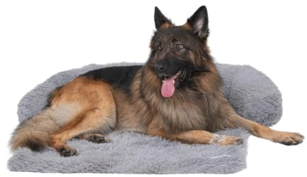 pfoten&nasen® Hundebett Sofa [Hellgrau, M - 90x80cm], Sofabett Hund, Sofaschutz Hund, Wasserdicht Hundematte Waschbar, Hundekissen für Große, Mittelgroße und Kleine Hunde, Hundesofa.