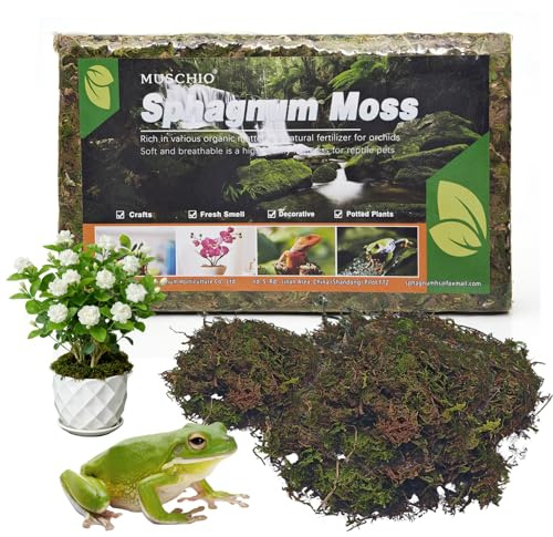 150g Sphagnum Moos für Pflanzen,Torfmoos Blumenerde Zimmerpflanzen | Sphagnum Moos Natürliches,Anzuchterde für Fleischfressende Pflanzen,Orchideenerde,Sukkulenten,Reptilien,Garten,Terrarien