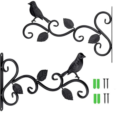 Support pour plantes murales, 2 pièces, crochets muraux pour plante, supports muraux de jardin, en fer forgé pour oiseaux, cintre de jardin extérieur avec vis de balcon lanterne