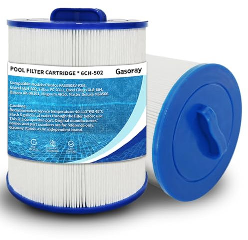 Gasoray Lot de 2 filtres de rechange 6CH-502 pour spa PAS50SV-F2M, Artesian Spas, Filbur FC-0311, XLS-604, AR50, AK-9016, 06-0006-12, 06-0005-12, M60506, 50 m²