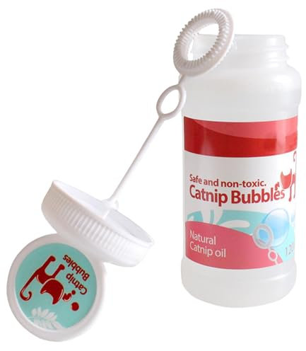 Le chat joue avec des bulles de savon de jardin pour chats Jeux à bulles de savon pour chats herbe à chat jouer avec des bulles de savon à l'herbe à chat jouer avec des bulles de savon pour la maison