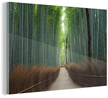 MuchoWow Glasbild Glasfoto Wandbild Bilder Deko 120x80 cm Bambus - Weg - Wald