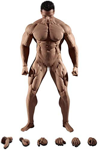 ZSMD 1/6 Gliederpuppen Zeichenpuppe Modellpuppe Körper Figur Männlich 12 Zoll Super Flexible Nahtlose M35 28 cm Mit Metall Skelett (Nicht enthalten Kopf Sculpt)