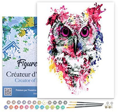 Figured'Art Peinture par Numéro Adulte avec Cadre Chouette rose moderne - Activité Manuelle Kit de Loisir Créatif DIY Numéro d'Art Complet - 40x50cm toile tendue sur châssis