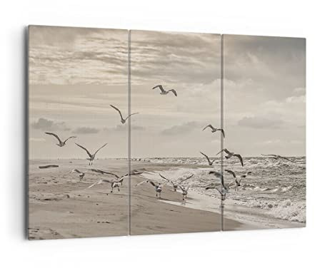 ARTTOR Leinwandbild 165x110cm Wandbild Landschaften Maritim - 4723 | Möwen Küste Boho Mehrteilige Groß XXL Wanddekoration Wohnzimmer Schlafzimmer Wanddeko Wand Kunstdruck Wandkunst ARTTOR