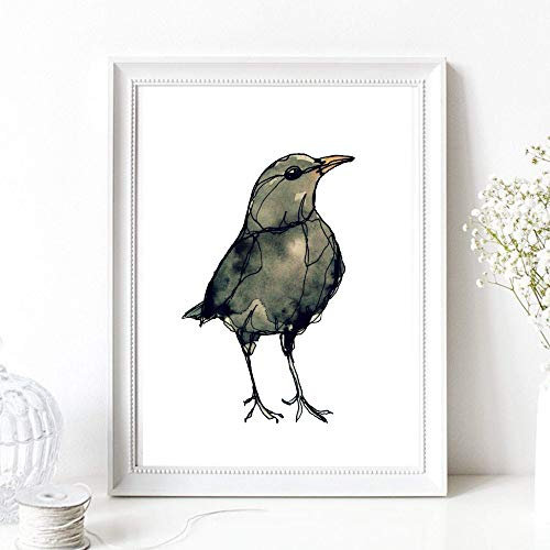 Din A4 Kunstdruck ungerahmt - Amsel Drossel Vogel Natur Aquarell modern Druck Poster Bild