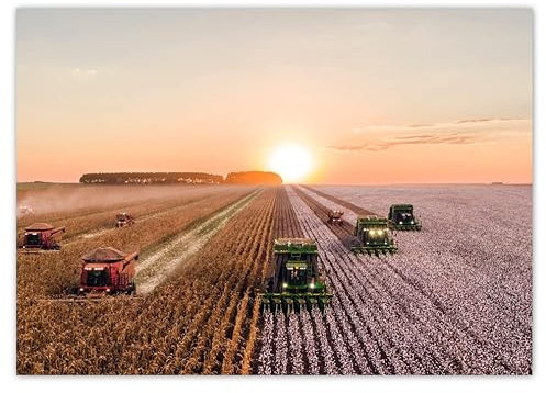 H6833 Foto-Poster, Wandkunst, 70 x 50 cm, Ernte, Landwirtschaft, Kombinationsnr.: