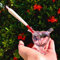 BlogBlog Hookah 80mm Herzform Liebe Rosa DAB Rig Glas Wasserpfeife Glas Bong