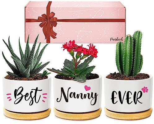 Pandasch Nanny Gifts, Nanny Birthday Gifts, Best Nanny Ever Succulent Pots Gifts for Nanny from Grandchildren, Unique Garden Gift Ideas for Nanny on Birthday Mothers Day Christmas