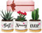 Pandasch Nanny Gifts, Nanny Birthday Gifts, Best Nanny Ever Succulent Pots Gifts for Nanny from Grandchildren, Unique Garden Gift Ideas for Nanny on Birthday Mothers Day Christmas