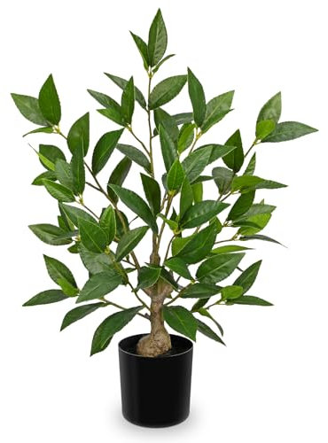 Arborus 19.6 Tall Artificial Plants Indoor Green Laurel Bay Trees in Black Pots Fake Plant Small Faux Plants Potted Decorative Artificial Plant Home for Kitchen Bathroom Shelf Decor